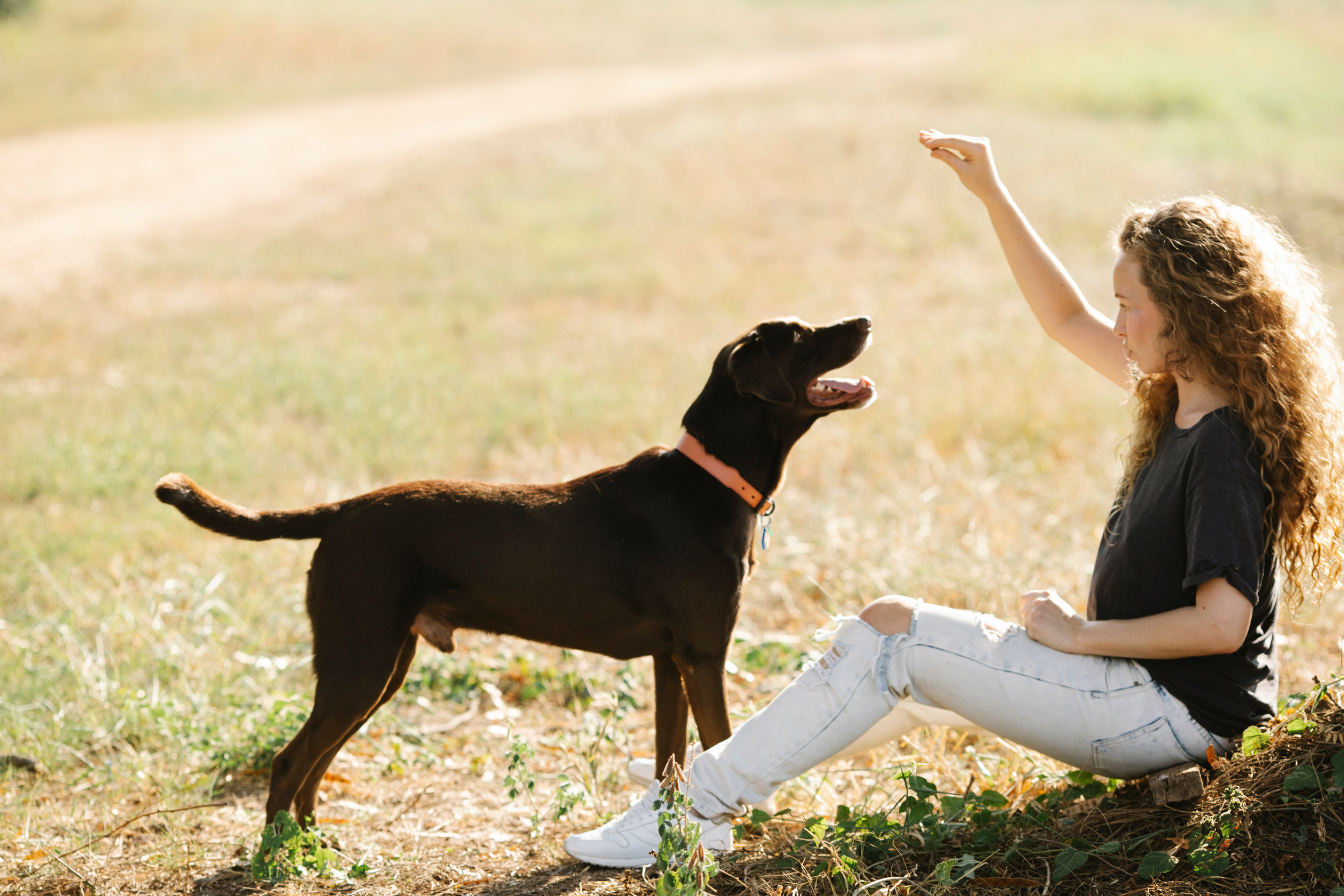 A Woman Sitting in a Park with her Dog